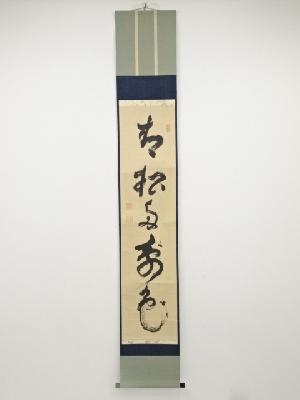 大徳寺486世宗般玄芳筆　「青松多寿色」一行書　肉筆紙本掛軸（保護箱）
